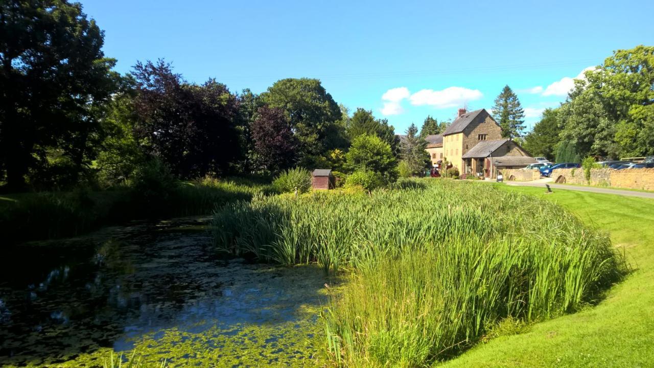 Hotel Haselbury Mill Crewkerne Zewnętrze zdjęcie